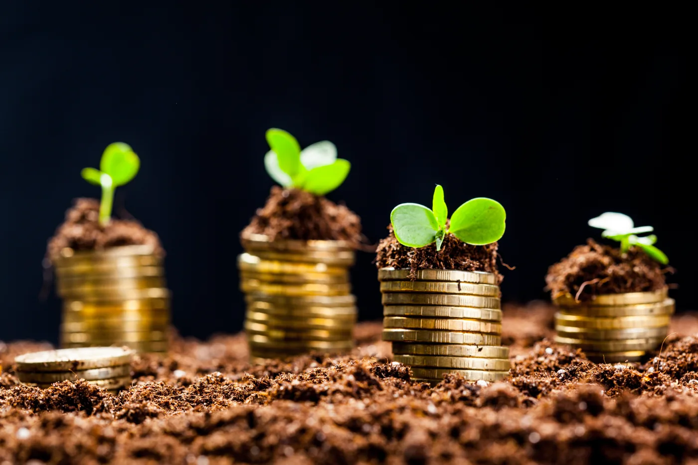 Angel Investor